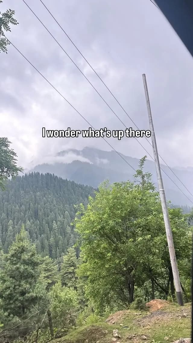 Green mountain valley on a Kashmir trek